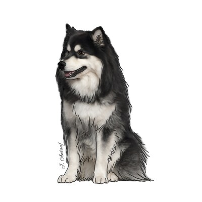 Finnish Lapphund (Design 2) - Printed Transfer Sheets for a variety of surfaces - image1